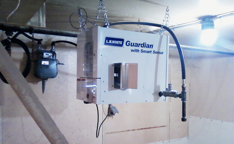 Guardian Forced Air Heater with Smart Sense Technology in a swine building.